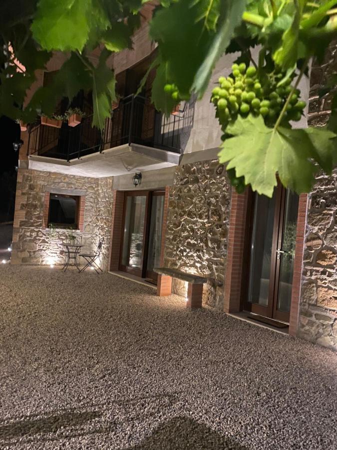 Podere Belsogno Montalcino Exteriér fotografie