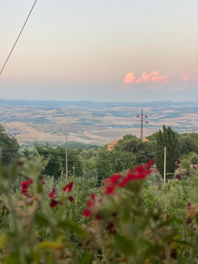 Podere Belsogno Montalcino Exteriér fotografie