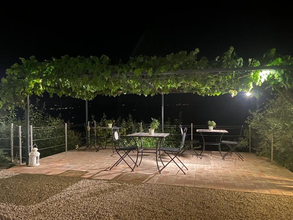 Podere Belsogno Montalcino Exteriér fotografie